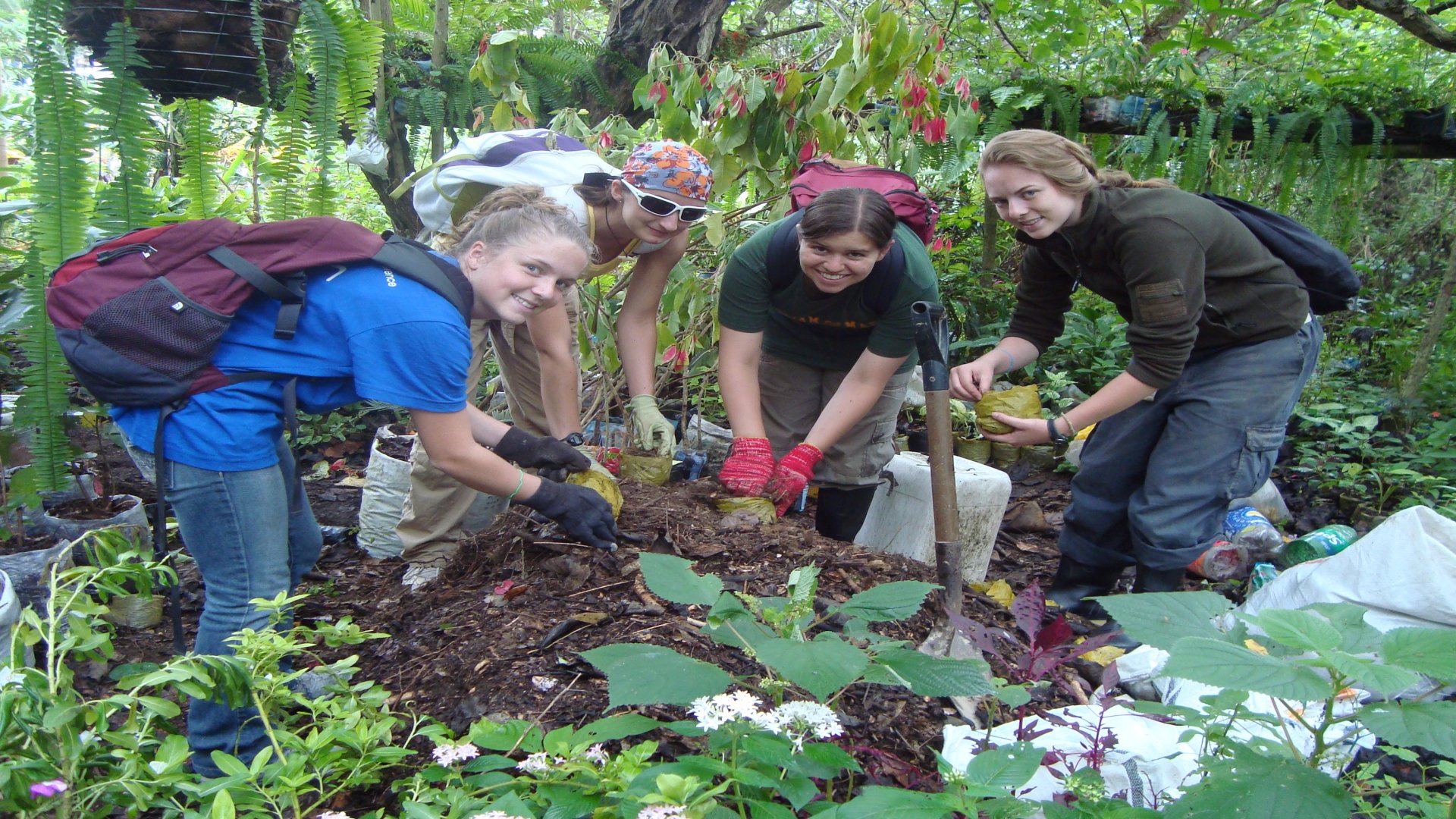 Reforestation Program